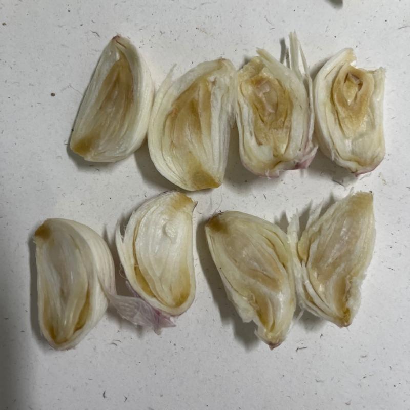 해당파일이미지