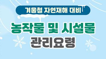 겨울철 자연재해 대비 농작물 및 시설물 관리요령